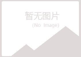 大安晓夏服务有限公司